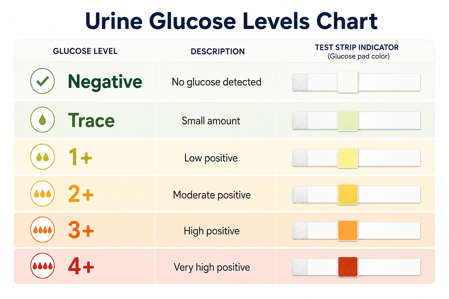 Urine glucose levels chart showing negative, trace, 1 plus, 2 plus, 3 plus, and 4 plus results