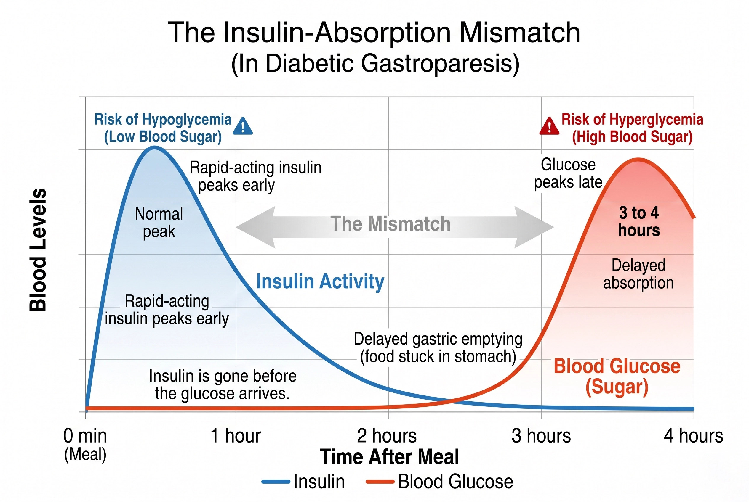 Graph demonstrating how delayed digestion causes blood sugar to crash after a meal and spike hours later.
